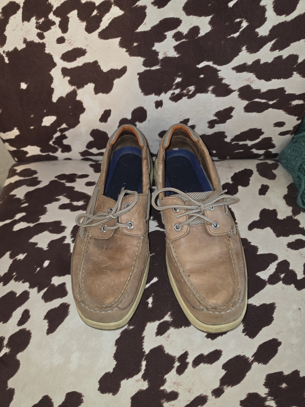 Men's Sperry Boat Shoes